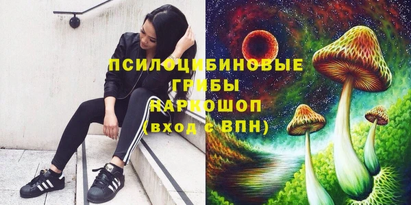 СК Кодинск